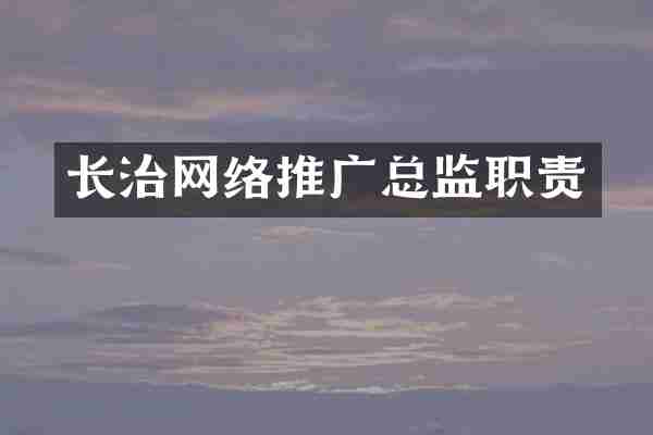 长治网络推广总监职责