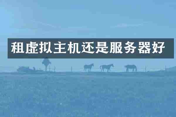 租虚拟主机还是服务器好