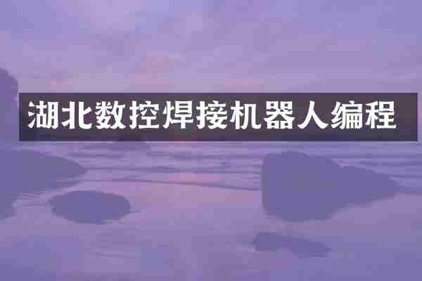 湖北数控焊接机器人编程