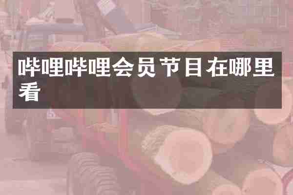 哔哩哔哩会员节目在哪里看