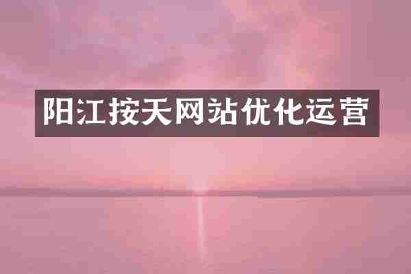 阳江按天网站优化运营