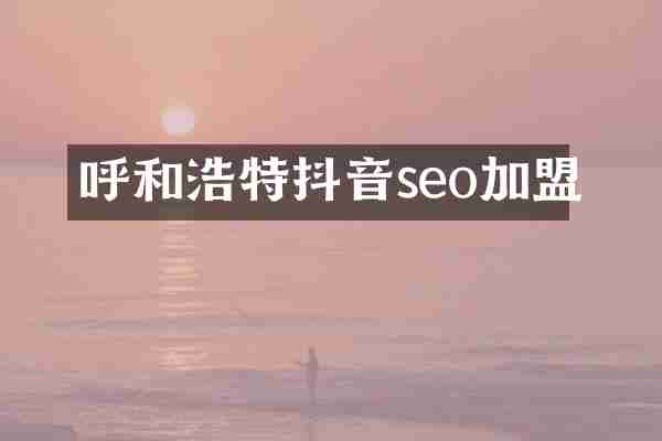 呼和浩特抖音seo加盟