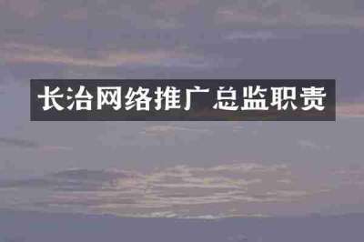 长治网络推广总监职责