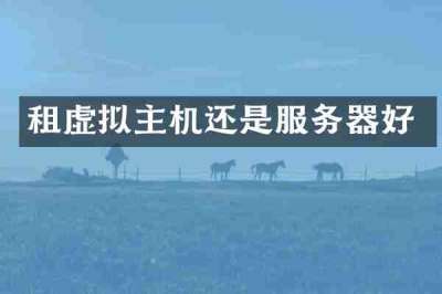 租虚拟主机还是服务器好