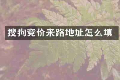 搜狗竞价来路地址怎么填