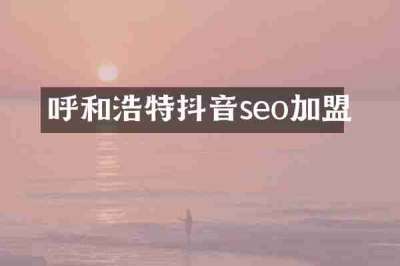 呼和浩特抖音seo加盟