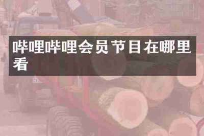 哔哩哔哩会员节目在哪里看