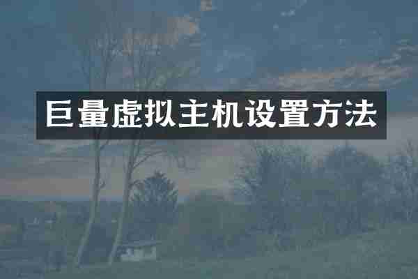 巨量虚拟主机设置方法