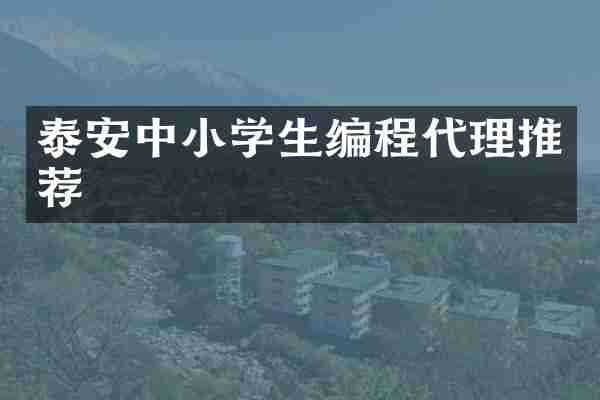 泰安中小学生编程代理推荐