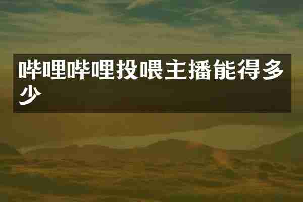 哔哩哔哩投喂主播能得多少