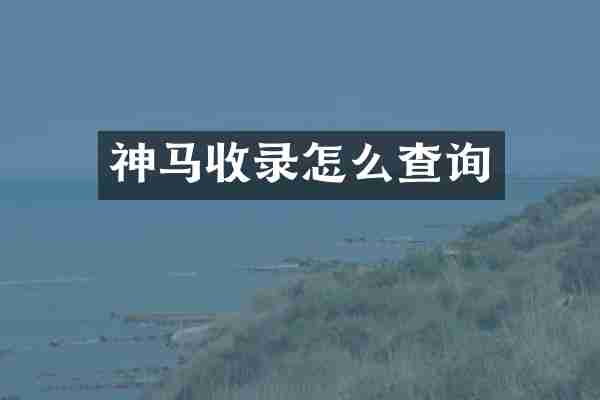神马收录怎么查询