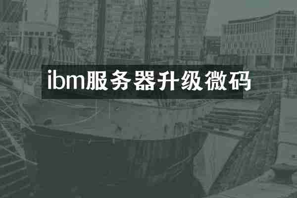 ibm服务器升级微码