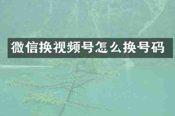 微信换视频号怎么换号码