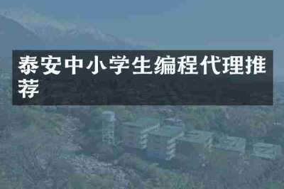 泰安中小学生编程代理推荐