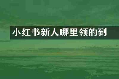 小红书新人劵哪里领的到
