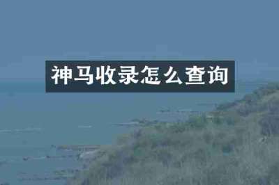 神马收录怎么查询