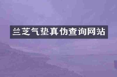 兰芝气垫真伪查询网站