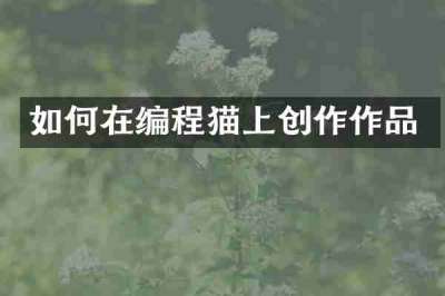 如何在编程猫上创作作品