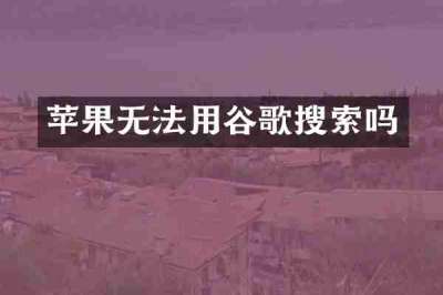 苹果无法用谷歌搜索吗
