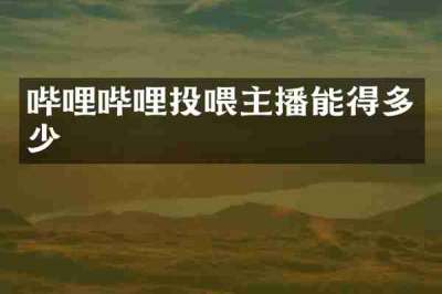 哔哩哔哩投喂主播能得多少