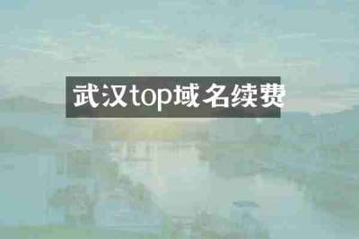 武汉top域名续费