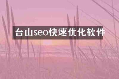 台山seo快速优化软件