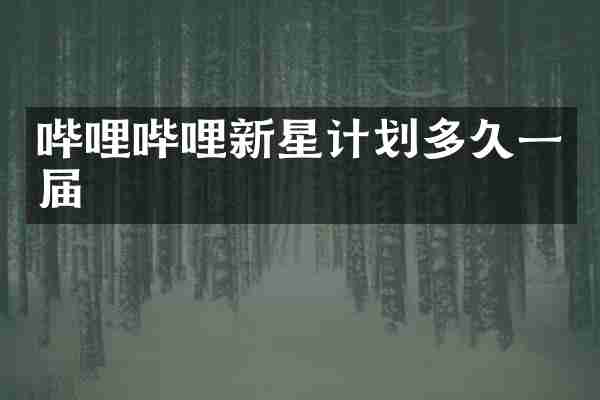 哔哩哔哩新星计划多久一届