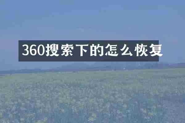 360搜索下的怎么恢复