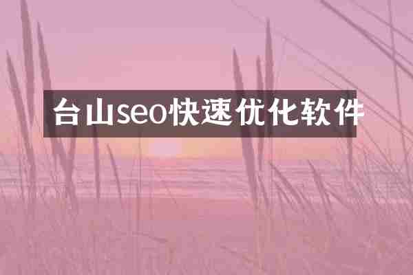 台山seo快速优化软件