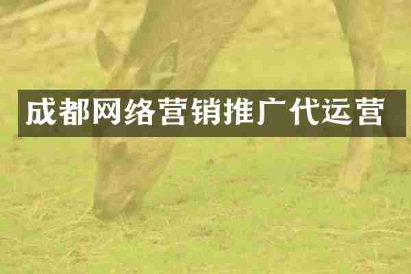 成都网络营销推广