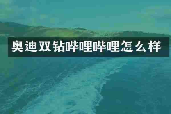 奥迪双钻哔哩哔哩怎么样