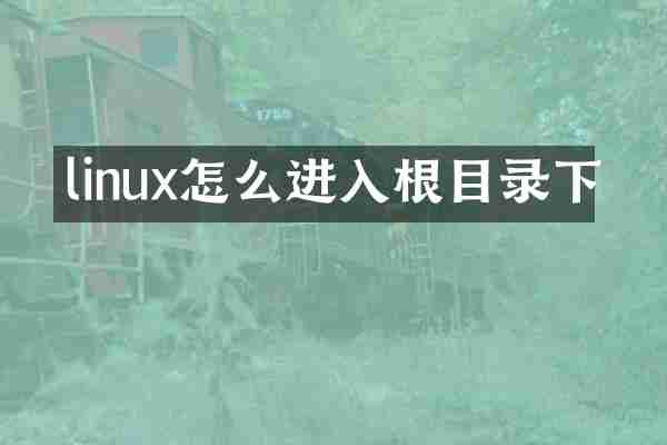 linux怎么进入根目录下