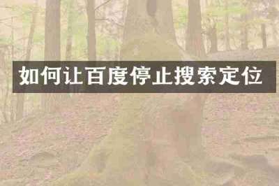 如何让百度停止搜索定位