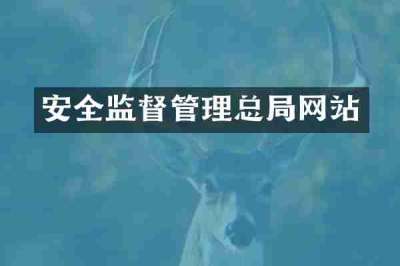 安全监督管理总局网站