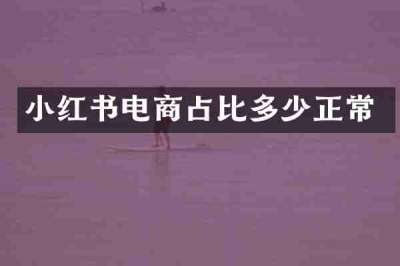 小红书电商占比多少正常