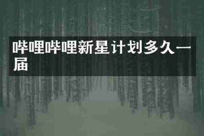哔哩哔哩新星计划多久一届