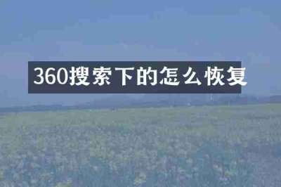 360搜索下的怎么恢复
