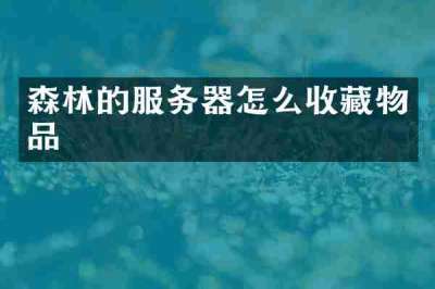 森林的服务器怎么收藏物品