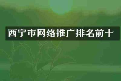 西宁市网络推广排名前十