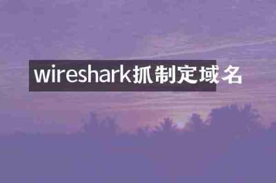 wireshark抓制定域名