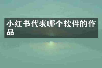 小红书代表哪个软件的作品