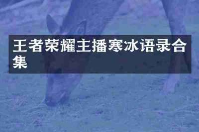 王者荣耀主播寒冰语录合集