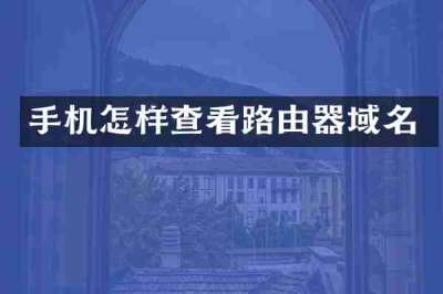 手机怎样查看路由器域名