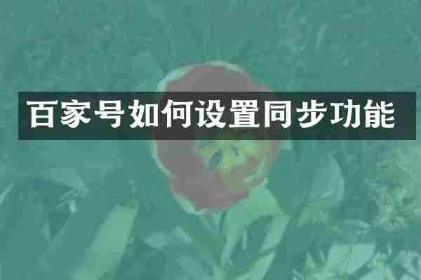 百家号如何设置同步功能