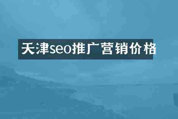 天津seo推广营销价格