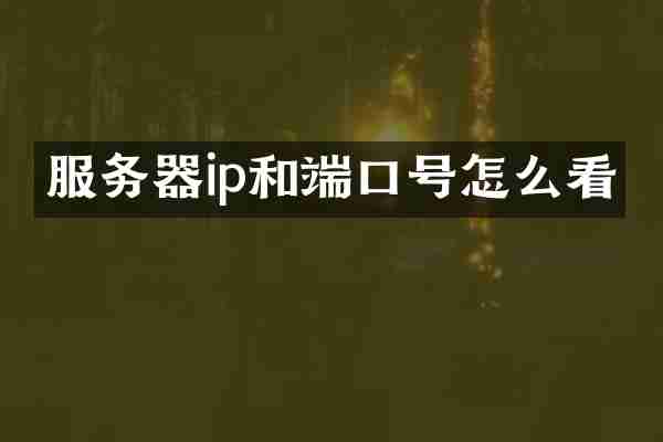 服务器ip和端口号怎么看