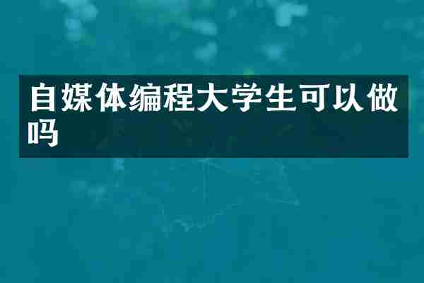 自媒体编程大学生可以做吗
