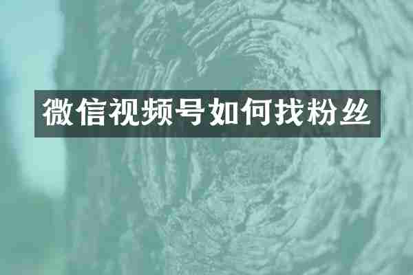微信视频号如何找粉丝