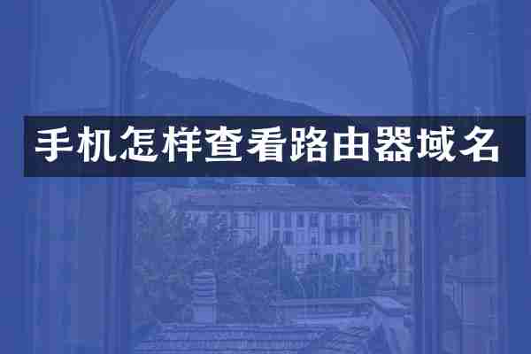 手机怎样查看路由器域名