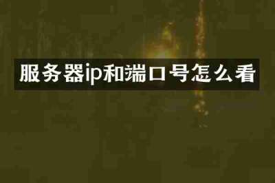 服务器ip和端口号怎么看